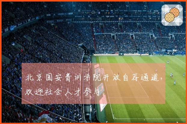 北京国安青训学院开放自荐通道，欢迎社会人才参与。